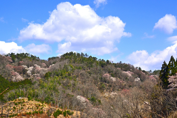 f0342250_21351124.jpg