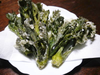 熊本県産!天然たらの芽!令和3年の販売開始!!数量限定の完全予約制販売!朝採り、即日発送でお届けします!_a0254656_17261671.jpg