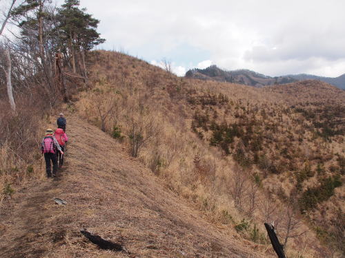 b0335256_10471231.jpg