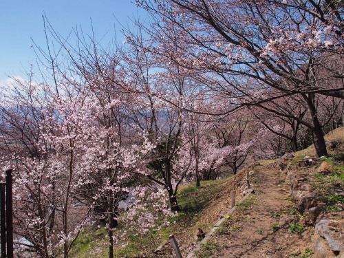 b0335256_13380779.jpg