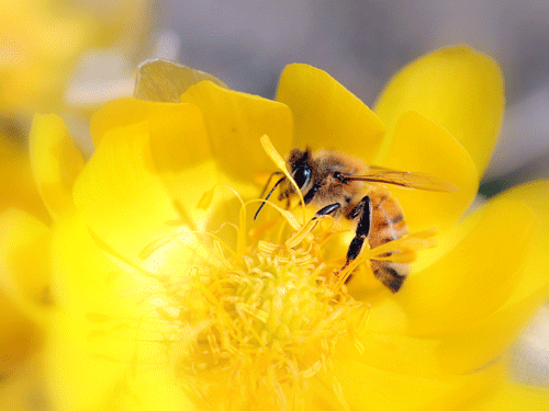 a0248459_13443388.png