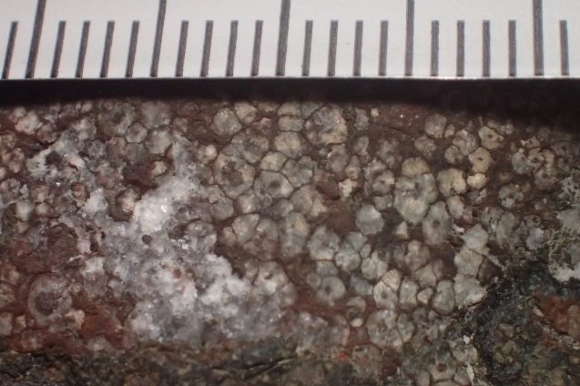 d0171959_22223272.jpg