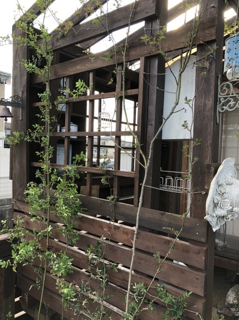 デッキテラスの修理兼ペンキ塗り Diyバラのトレリスの設置 小さな棲家