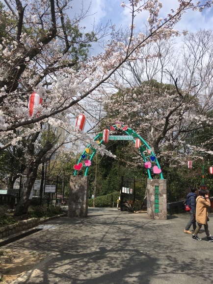 b0047265_19220795.jpeg