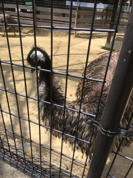 b0047265_19243801.jpeg