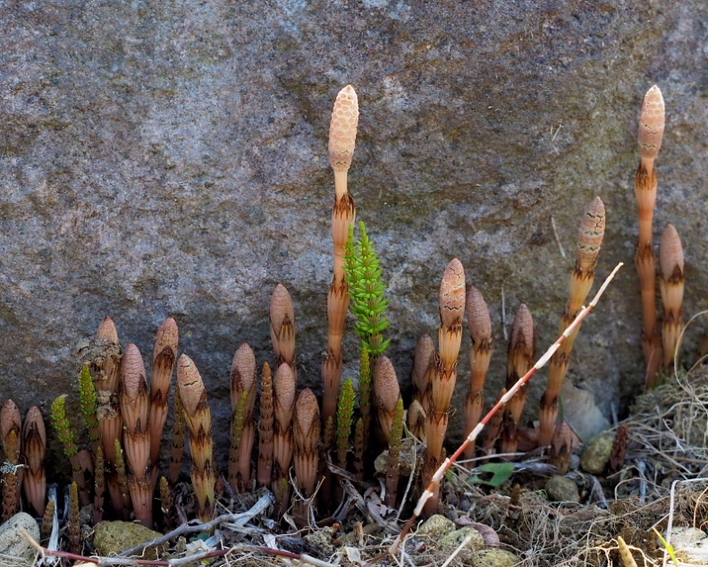 c0305565_17490092.jpg