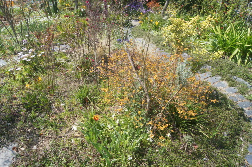 e0181373_21301038.jpg