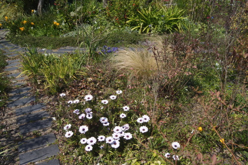 e0181373_21302403.jpg