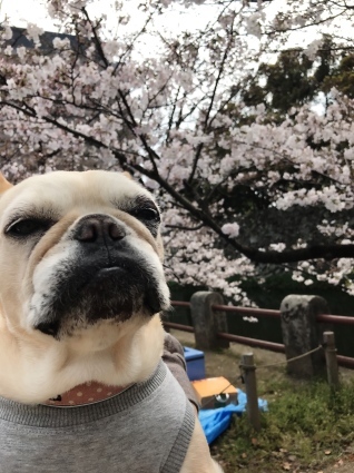 d0048577_20351080.jpeg