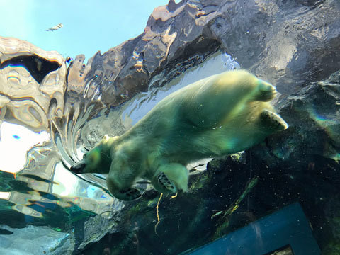 f0083977_06450907.jpg