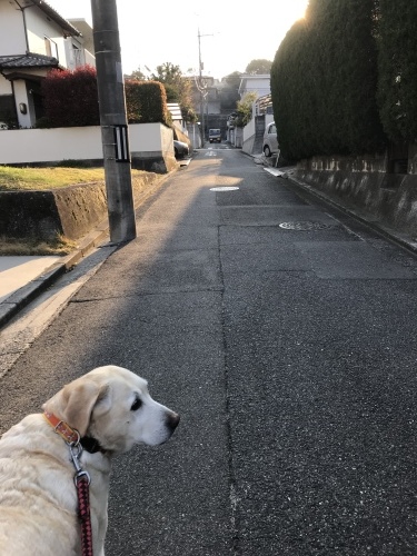 f0315081_22300274.jpeg
