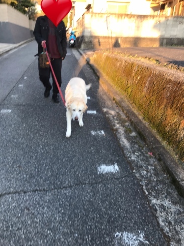f0315081_22331909.jpeg