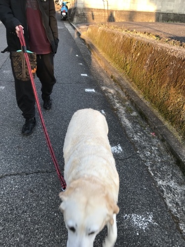 f0315081_22334545.jpeg