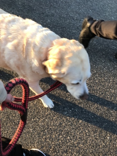 f0315081_22351793.jpeg