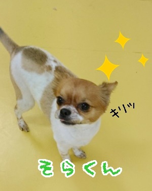仲良くなれました!_f0357682_20063648.jpg