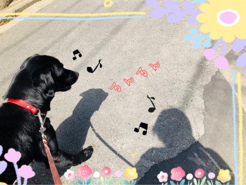 雄くん🐾_f0357682_23371193.jpg
