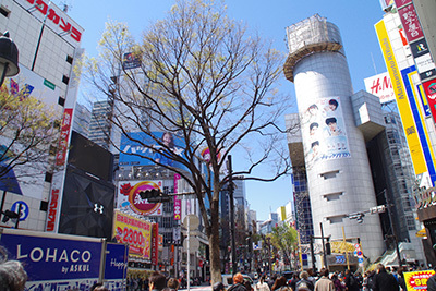 b0056983_14273652.jpg