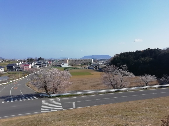 四国 高松に上陸 8日目_c0212083_16532404.jpg