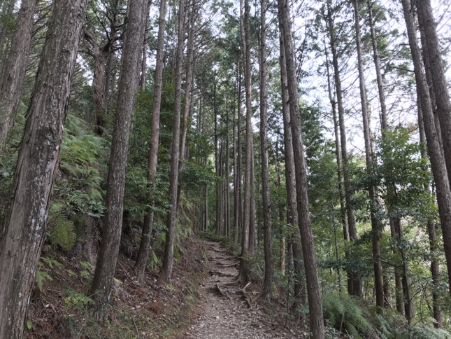 c0144185_0445286.jpg