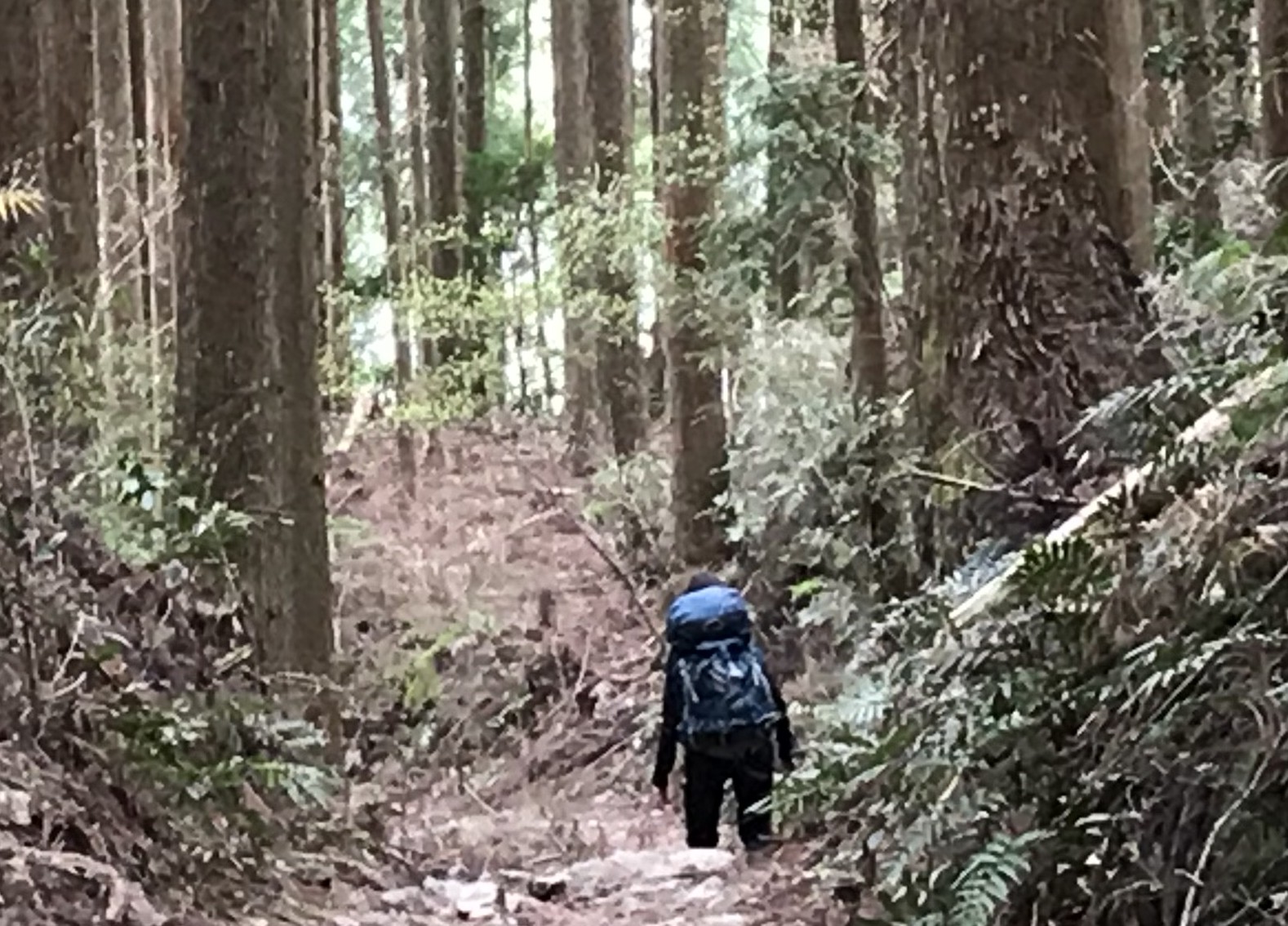 c0144185_9534426.jpg
