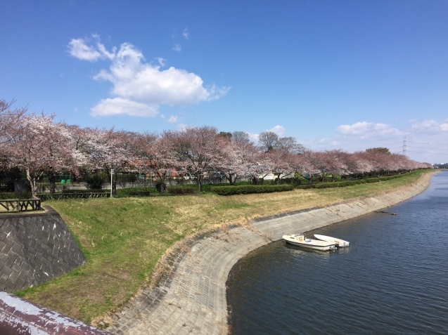 e0152990_16573113.jpeg