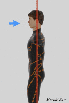 f0074992_16274461.gif