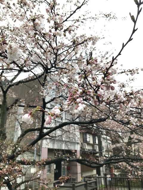 城崎へ 温泉_f0204295_09504607.jpg