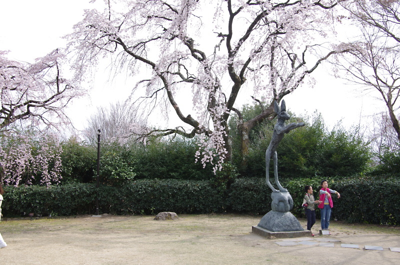 大山崎山荘　桜_c0382798_10301905.jpg