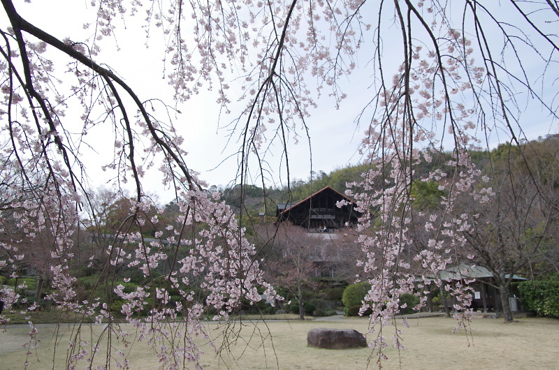 c0382798_10314378.jpg