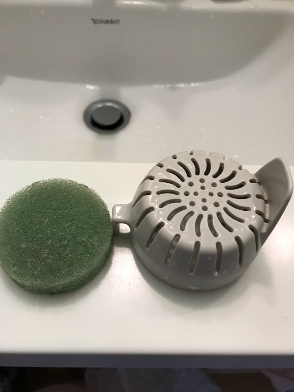 風呂水ポンプと洗濯機の掃除 静かな森のかげから 風呂水ポンプと洗濯機の掃除 静かな森のかげから