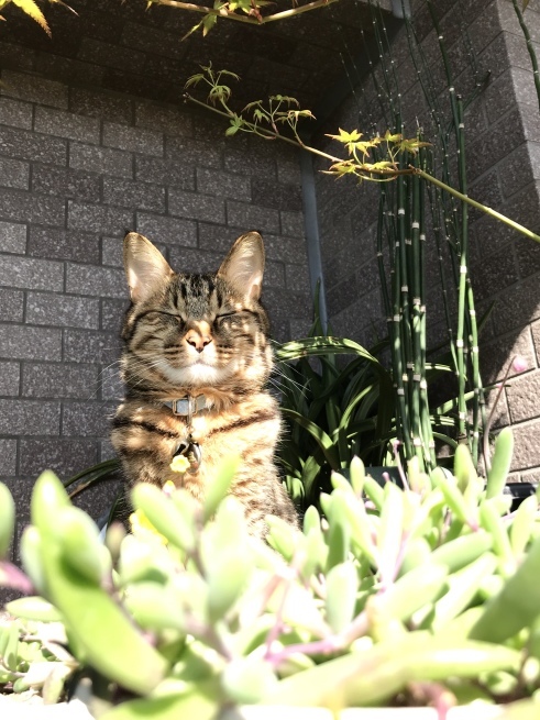 c0362401_10524975.jpeg