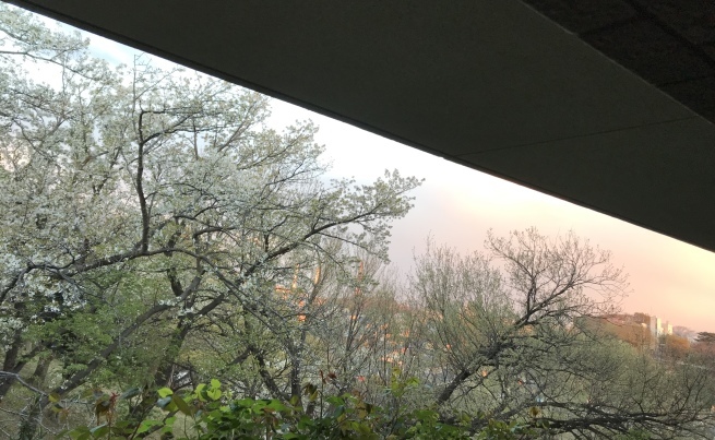 c0362401_10534261.jpeg
