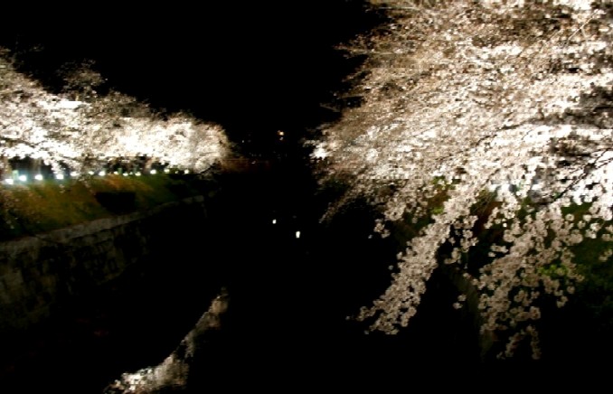 d0140806_1143776.jpg