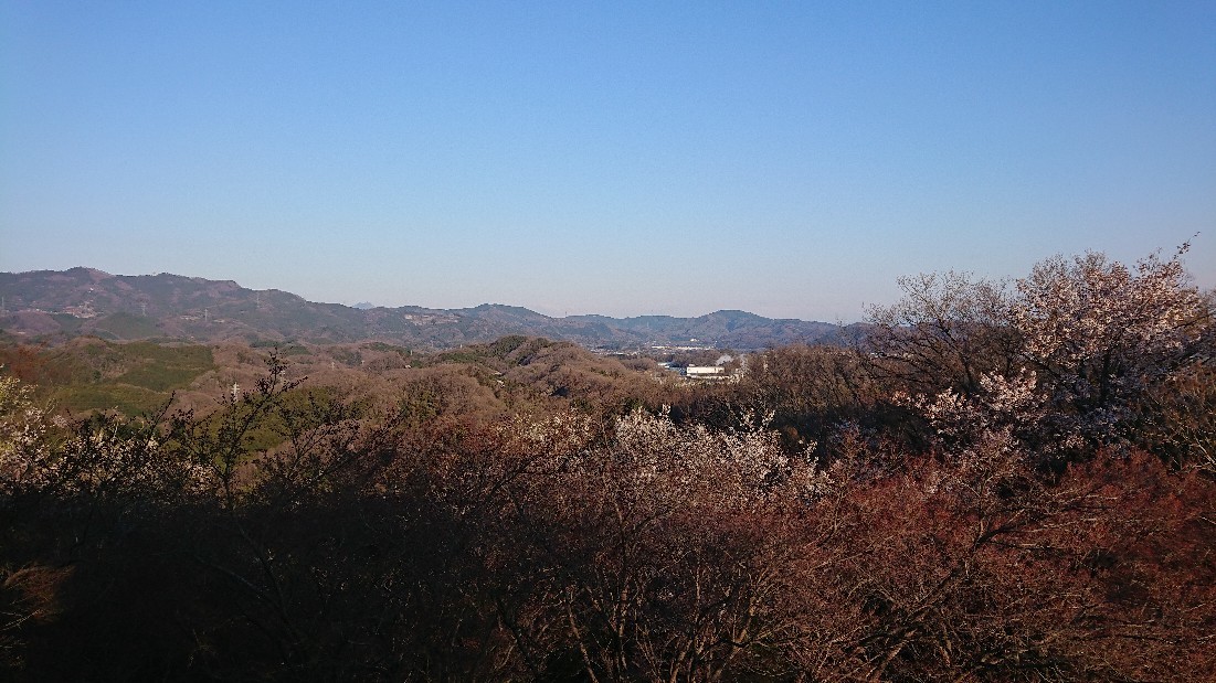 d0118807_08433956.jpg