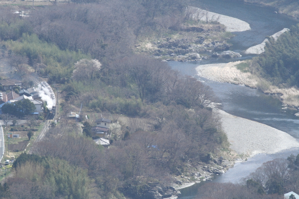 荒川沿いの道に桜が咲き始めた　- 2019年桜・秩父鉄道 -_b0190710_22270009.jpg