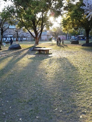 f0371014_01135275.jpg