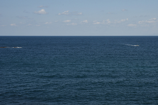 b0259218_21311779.jpg