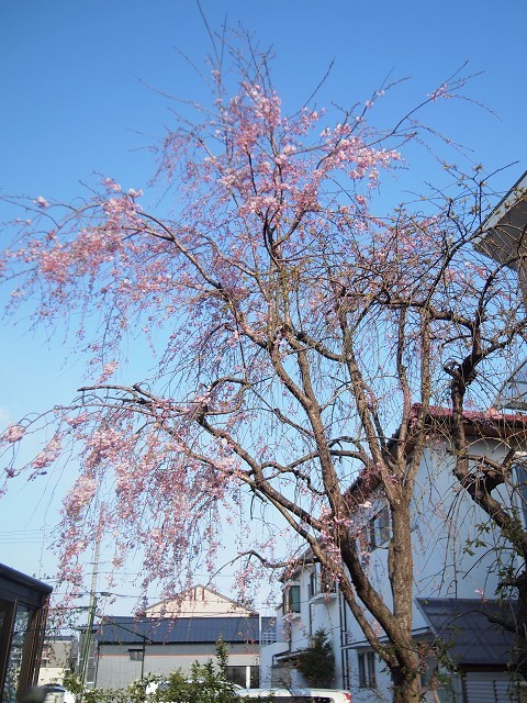 d0295818_22195427.jpg
