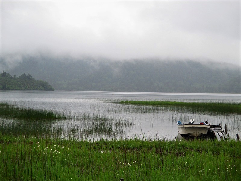 尾瀬　霧の燧ヶ岳と尾瀬沼に咲く花たち　　　　　Hiuchigatake and Ozenuma in Oze National Park_f0308721_17162644.jpg