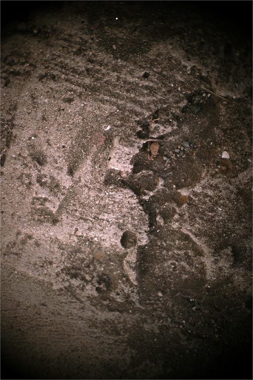 b0226423_17183336.jpg