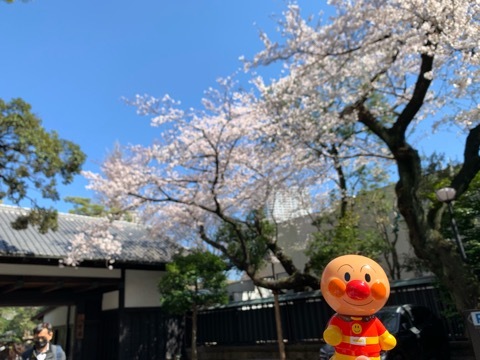 d0233224_23422921.jpeg