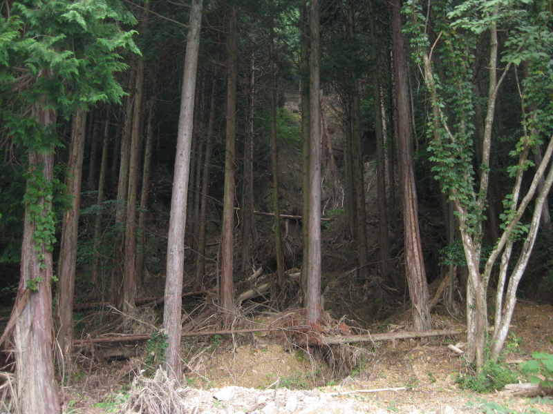 歯長峠 通行止め⁉️_d0357024_21004934.jpg