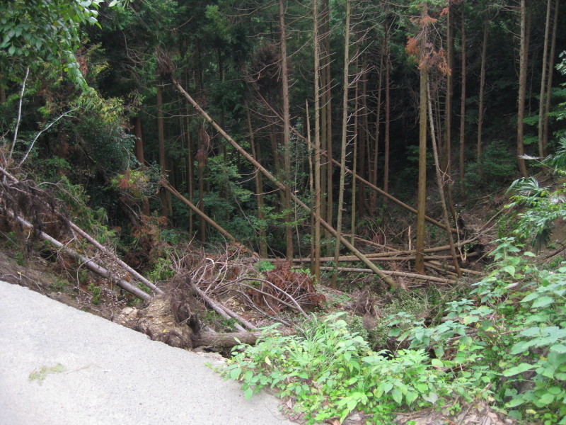 歯長峠 通行止め⁉️_d0357024_21011097.jpg