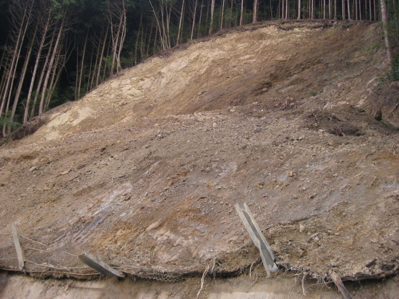 歯長峠 通行止め⁉️_d0357024_21015540.jpg