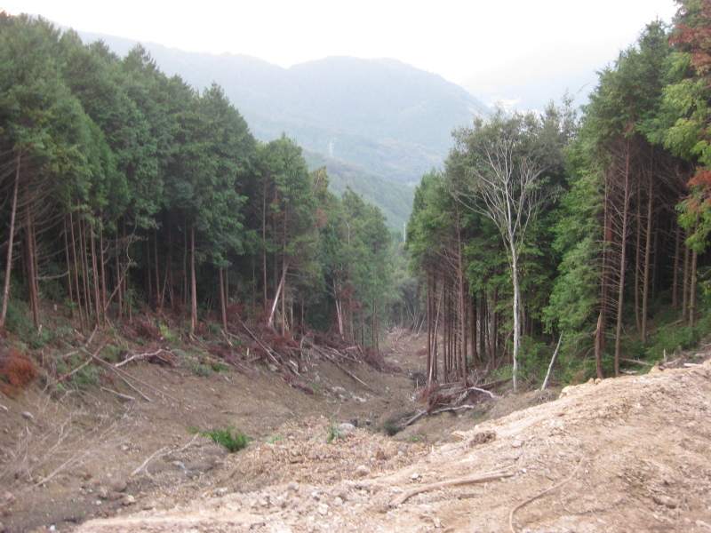 歯長峠 通行止め⁉️_d0357024_21020318.jpg