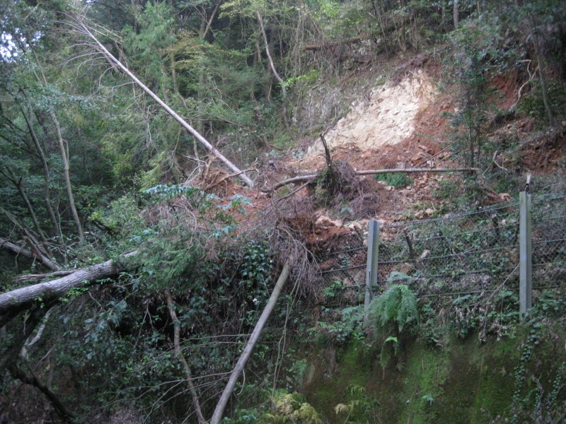 歯長峠 通行止め⁉️_d0357024_21023404.jpg