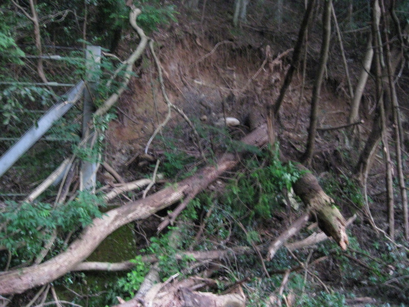 歯長峠 通行止め⁉️_d0357024_21024161.jpg