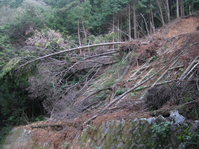 歯長峠 通行止め⁉️_d0357024_21024770.jpg