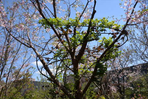 e0335926_21134092.jpg