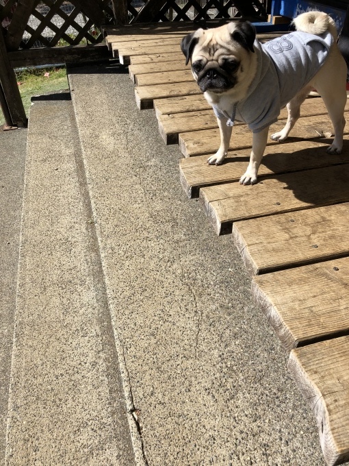 b0369239_18234512.jpeg